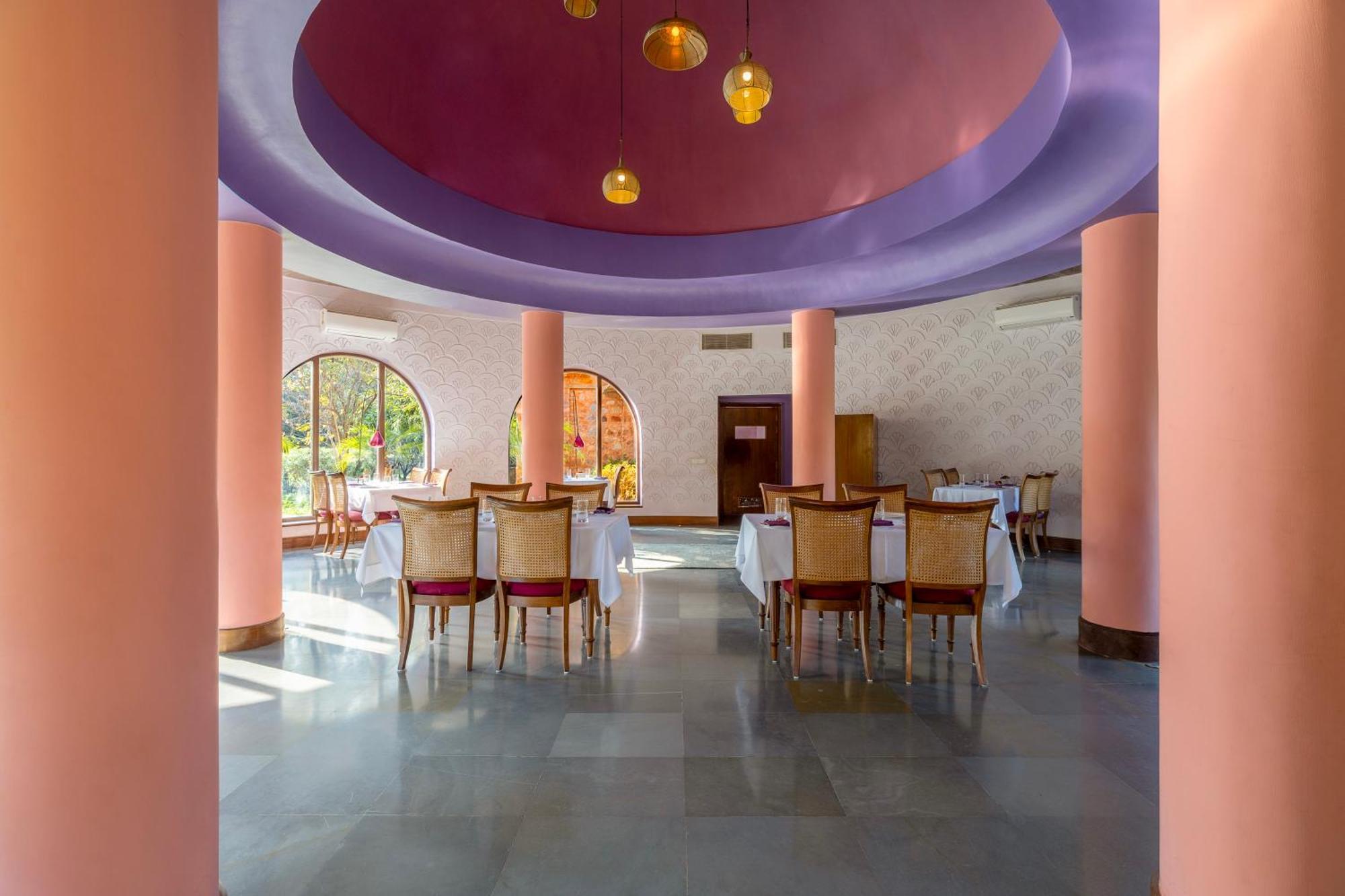 Tree Of Life & Jaipur